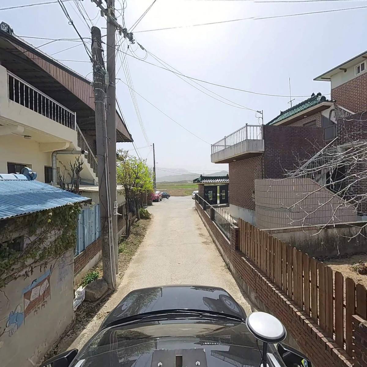 분홍봄_4