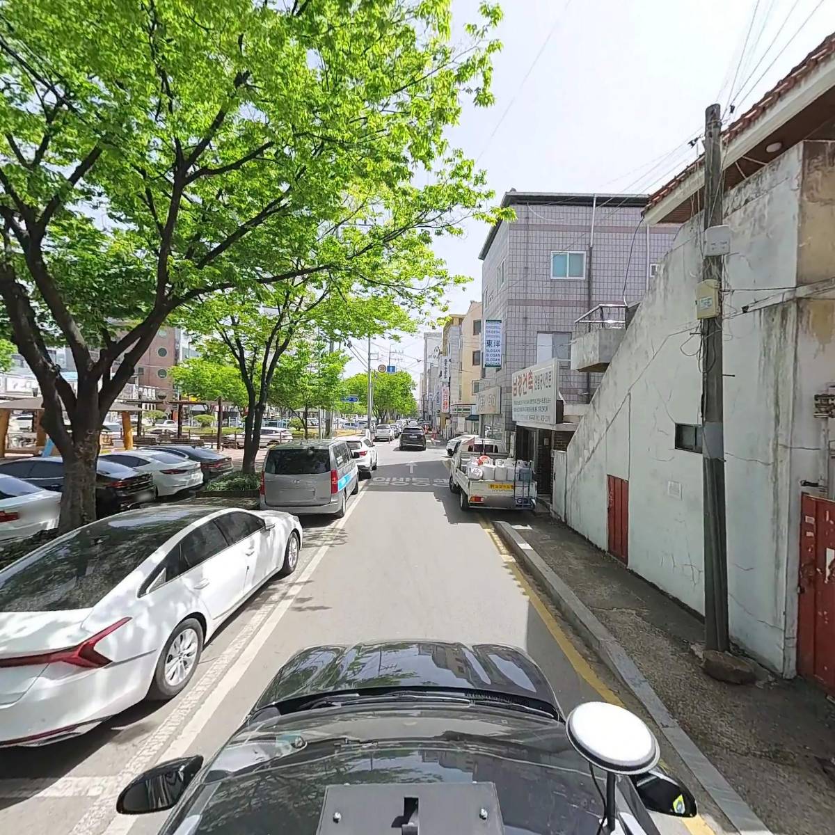 주객1991_4