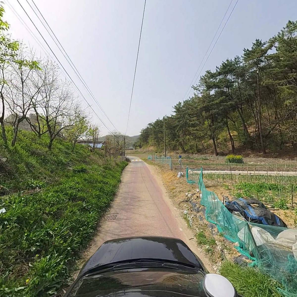 마약꼼장어_4