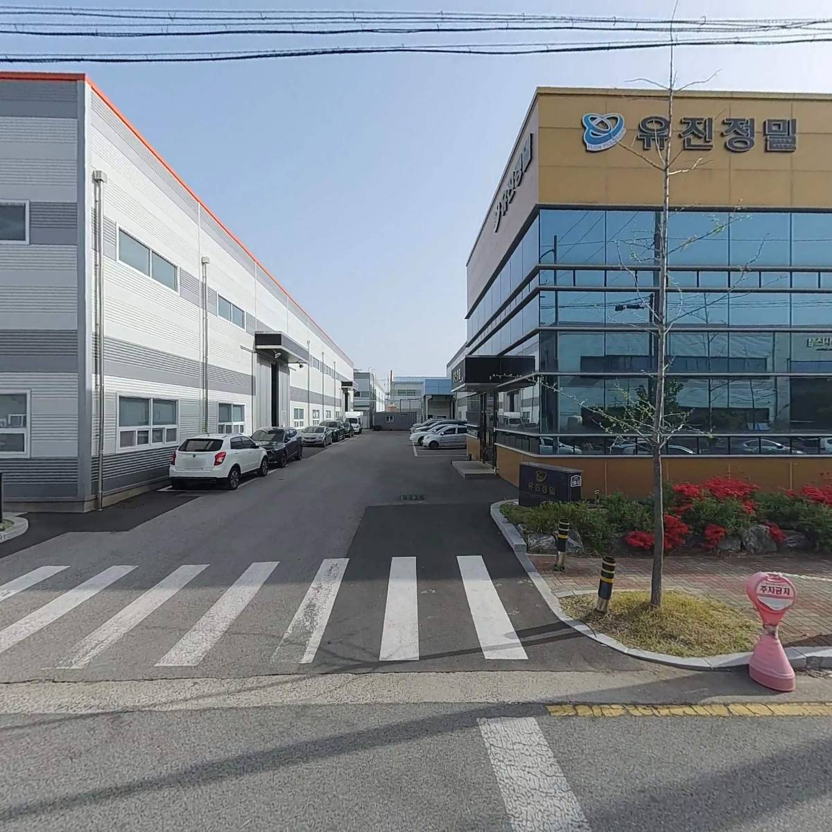 비케이몰드