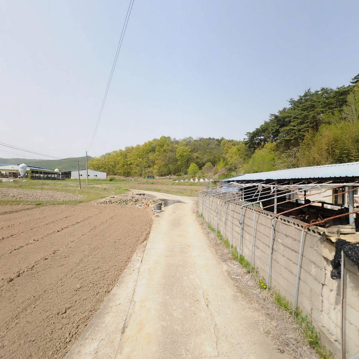 대한불교 도생조계종 아미타암_2