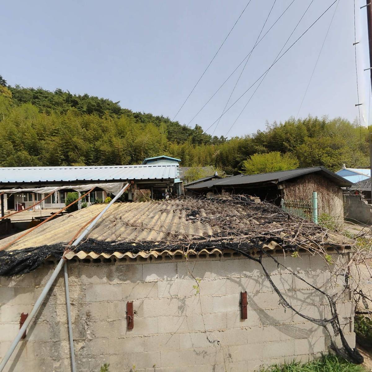 대한불교 도생조계종 아미타암_3