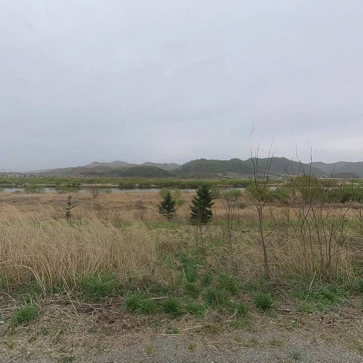 동서식품_3