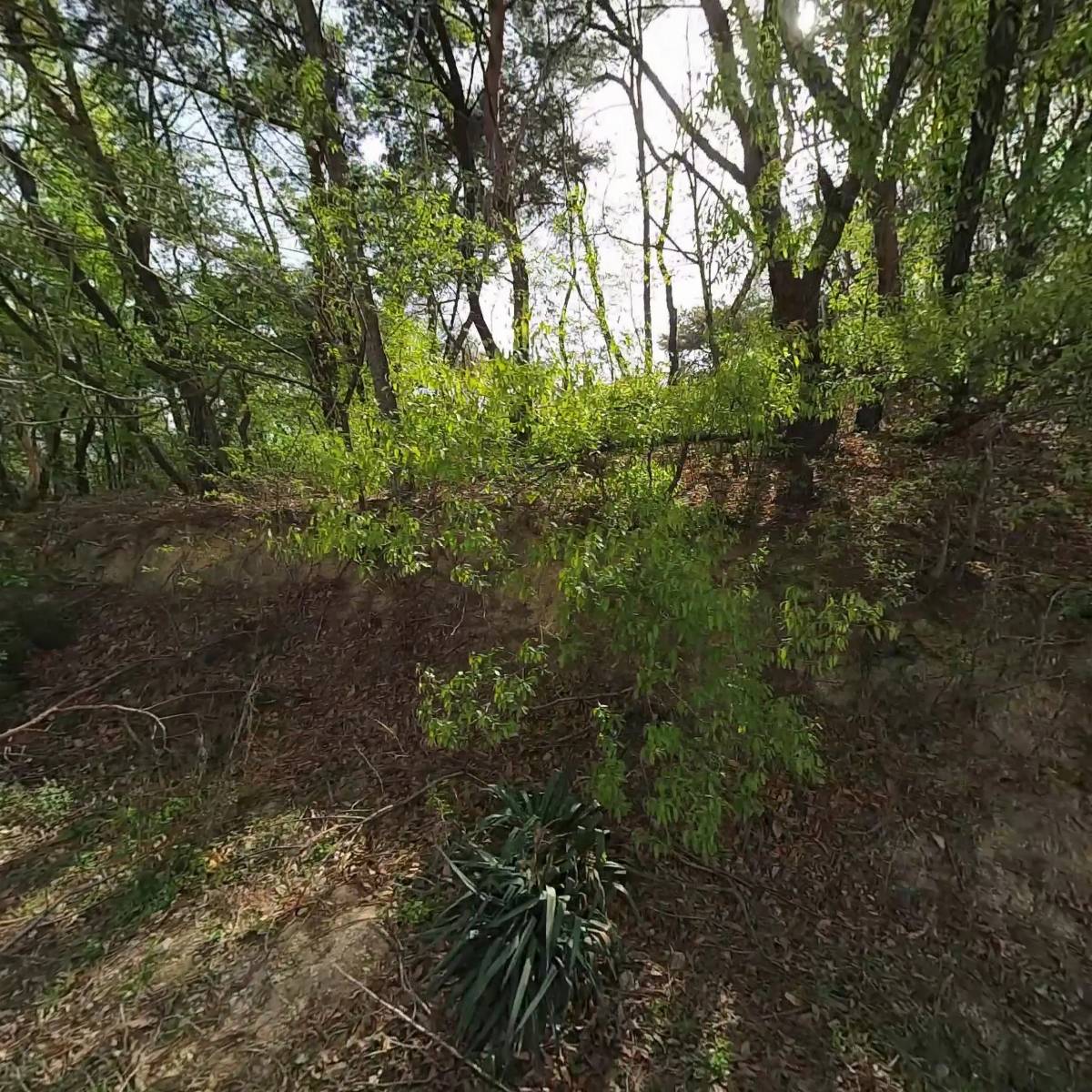 파네룬(PANE LUNE)_3