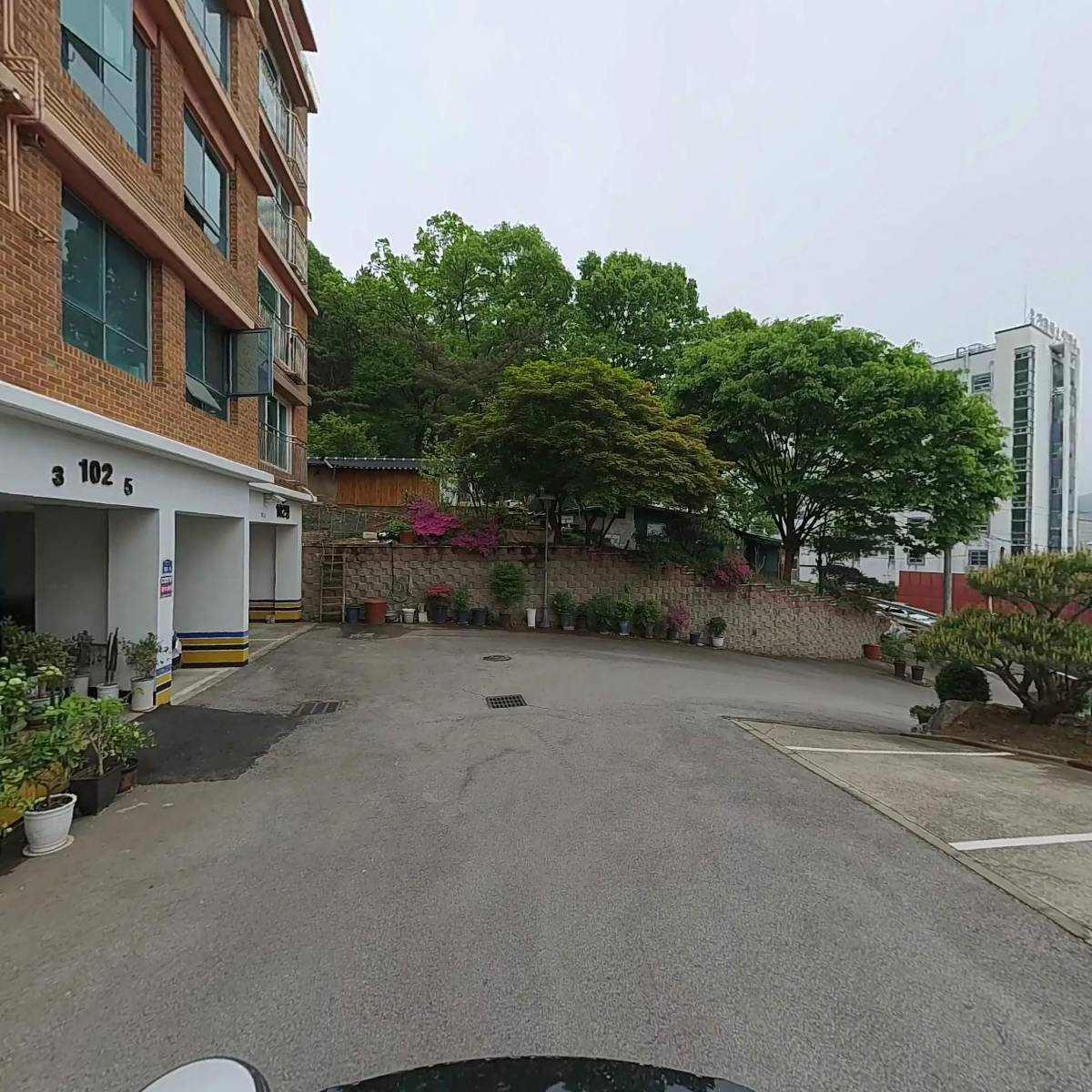 정지혜피아노_2
