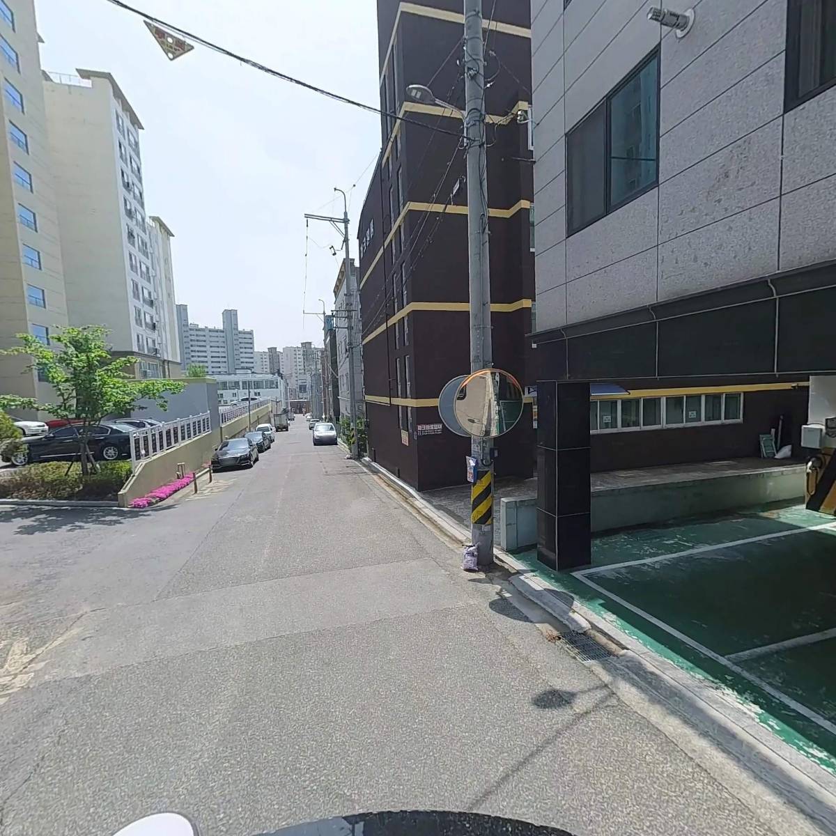 닥엔돈스_2