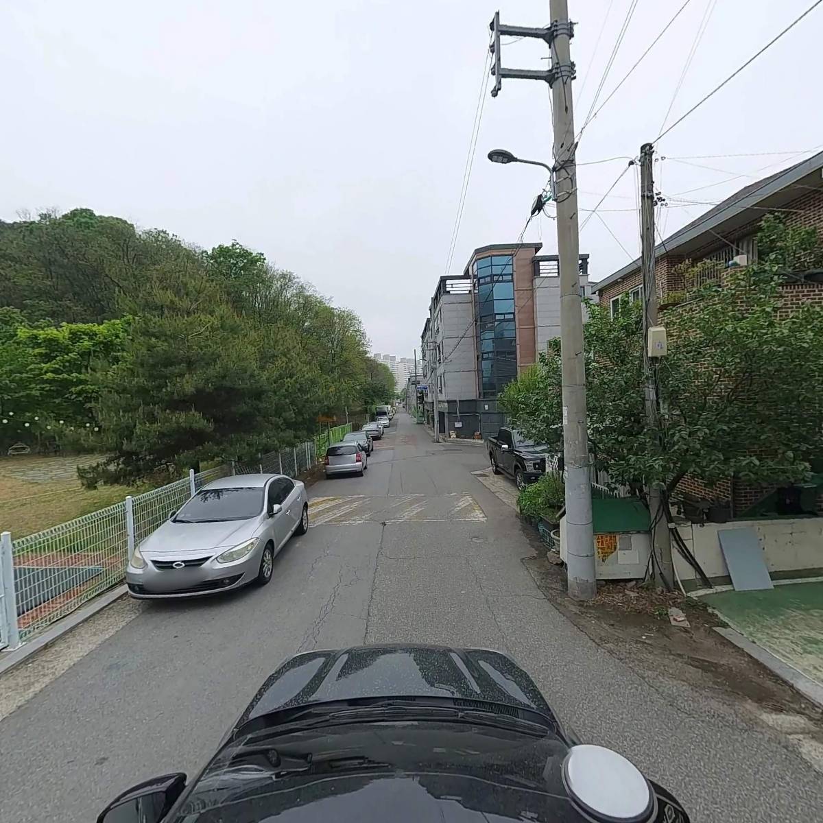 왕짱_4