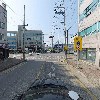 감포참가자미_4