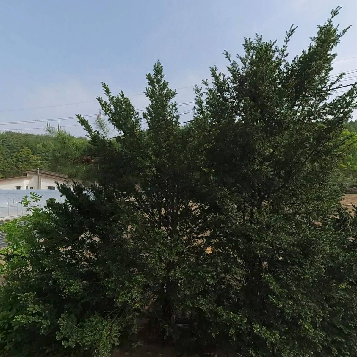 금계농산