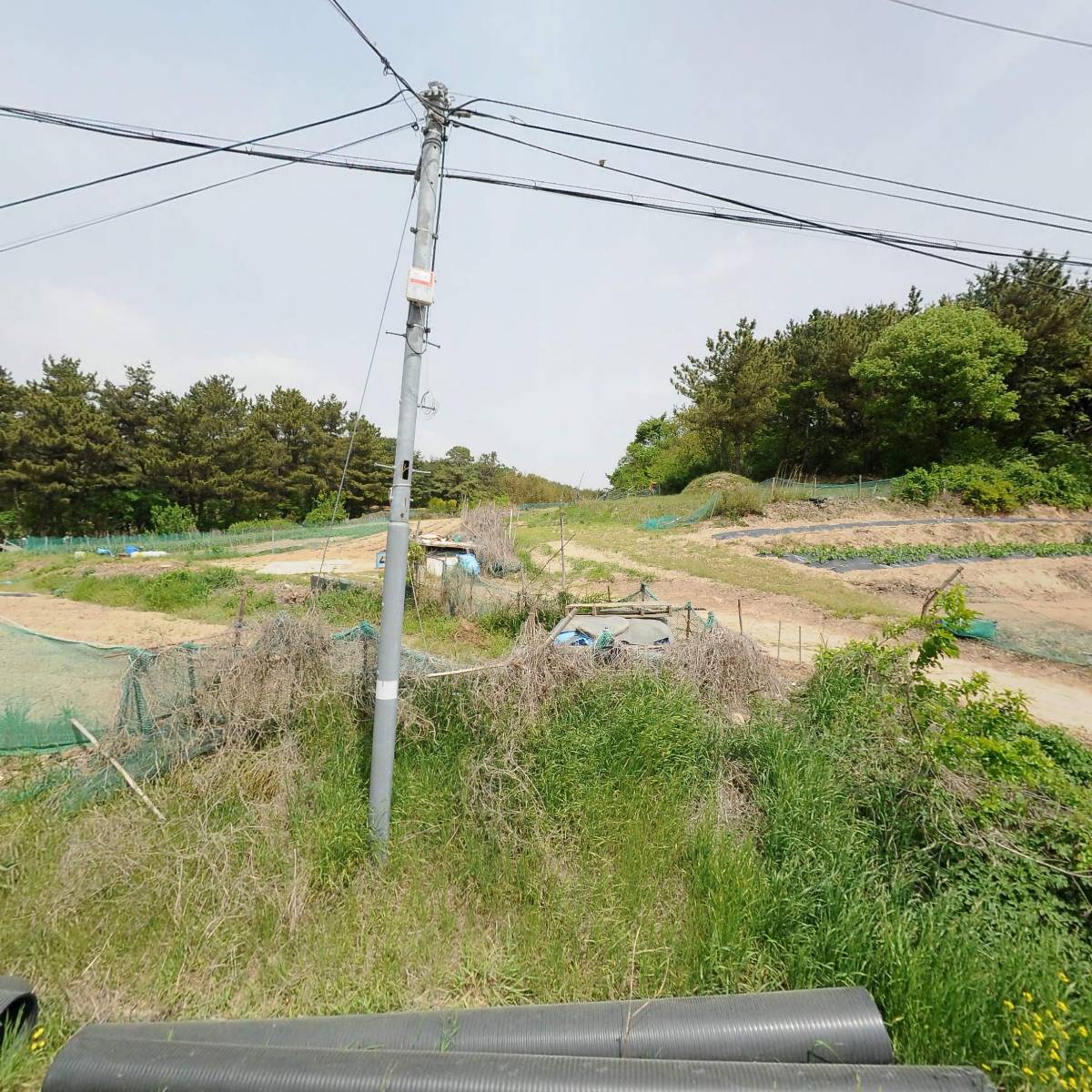 만물수산