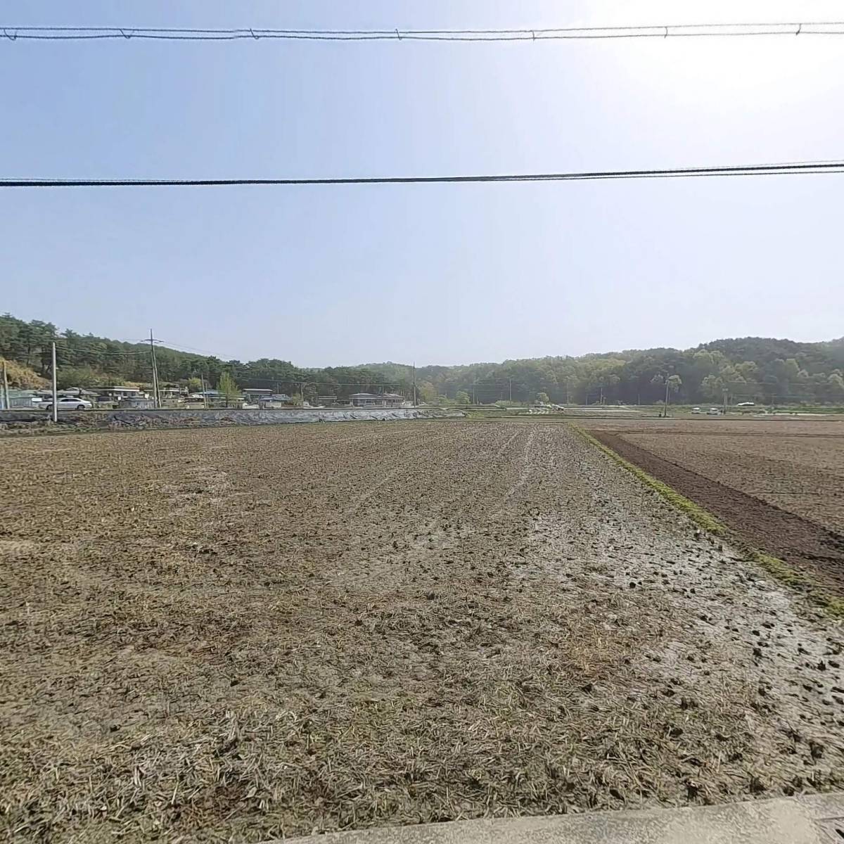대박꽃집