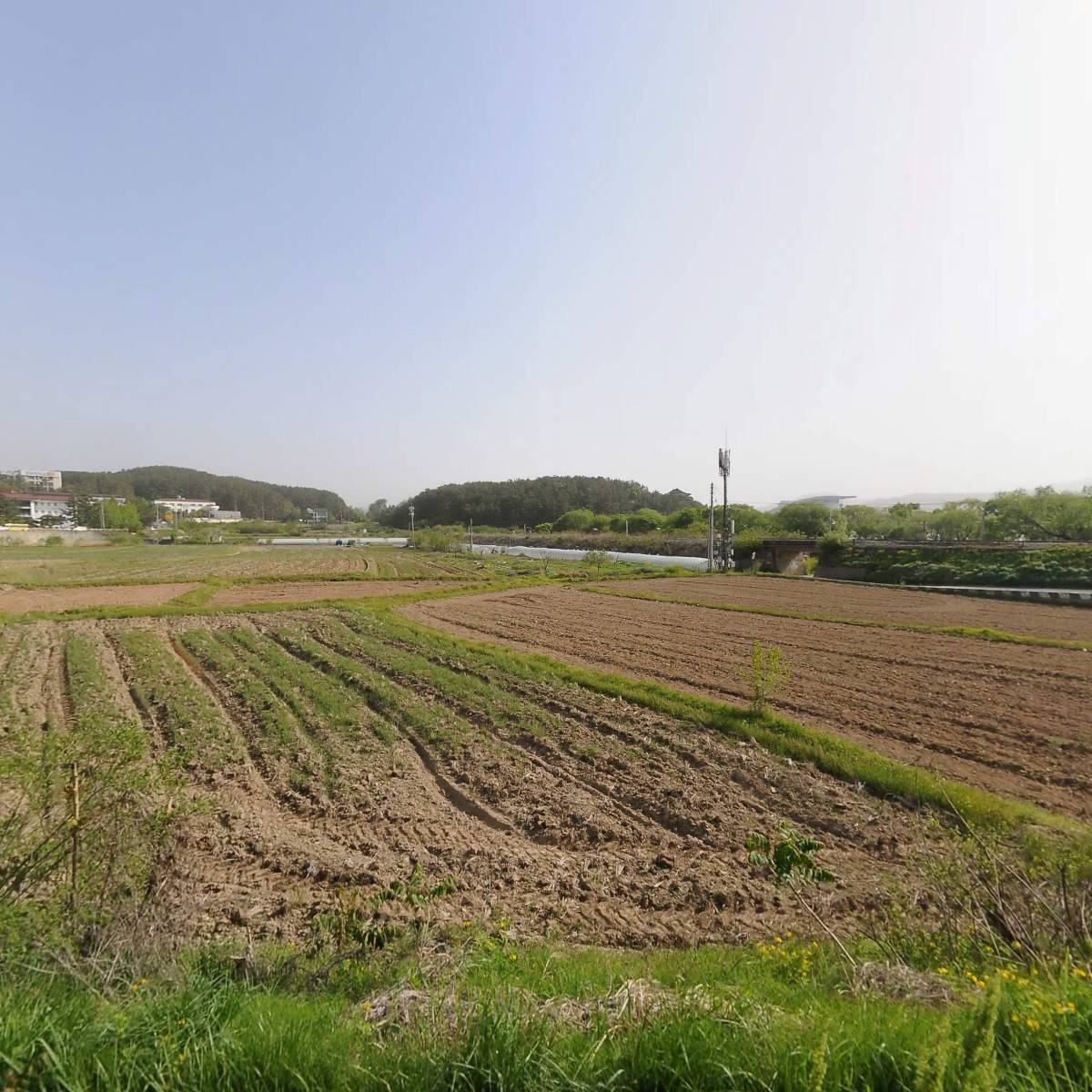 정문약국