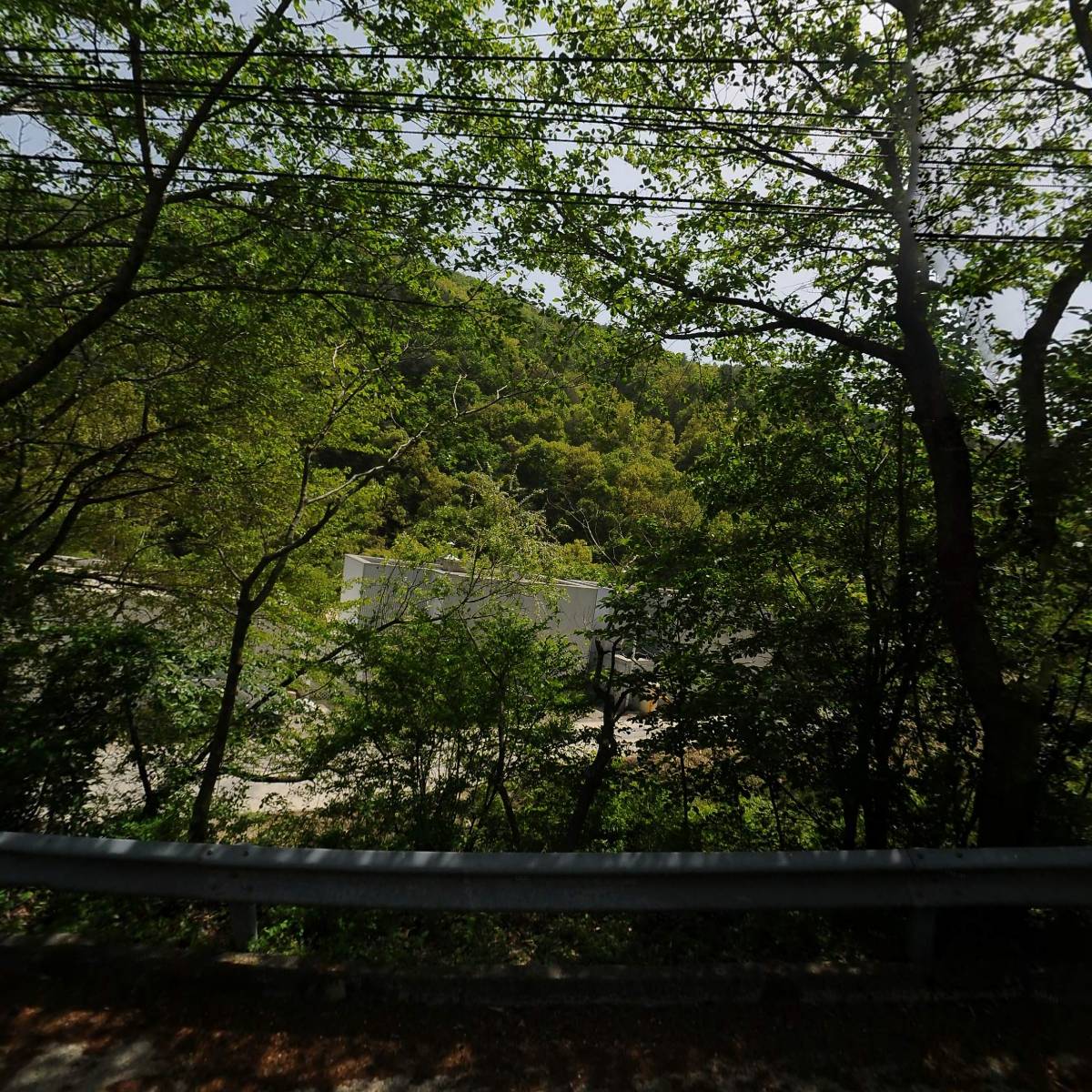 리베볼
