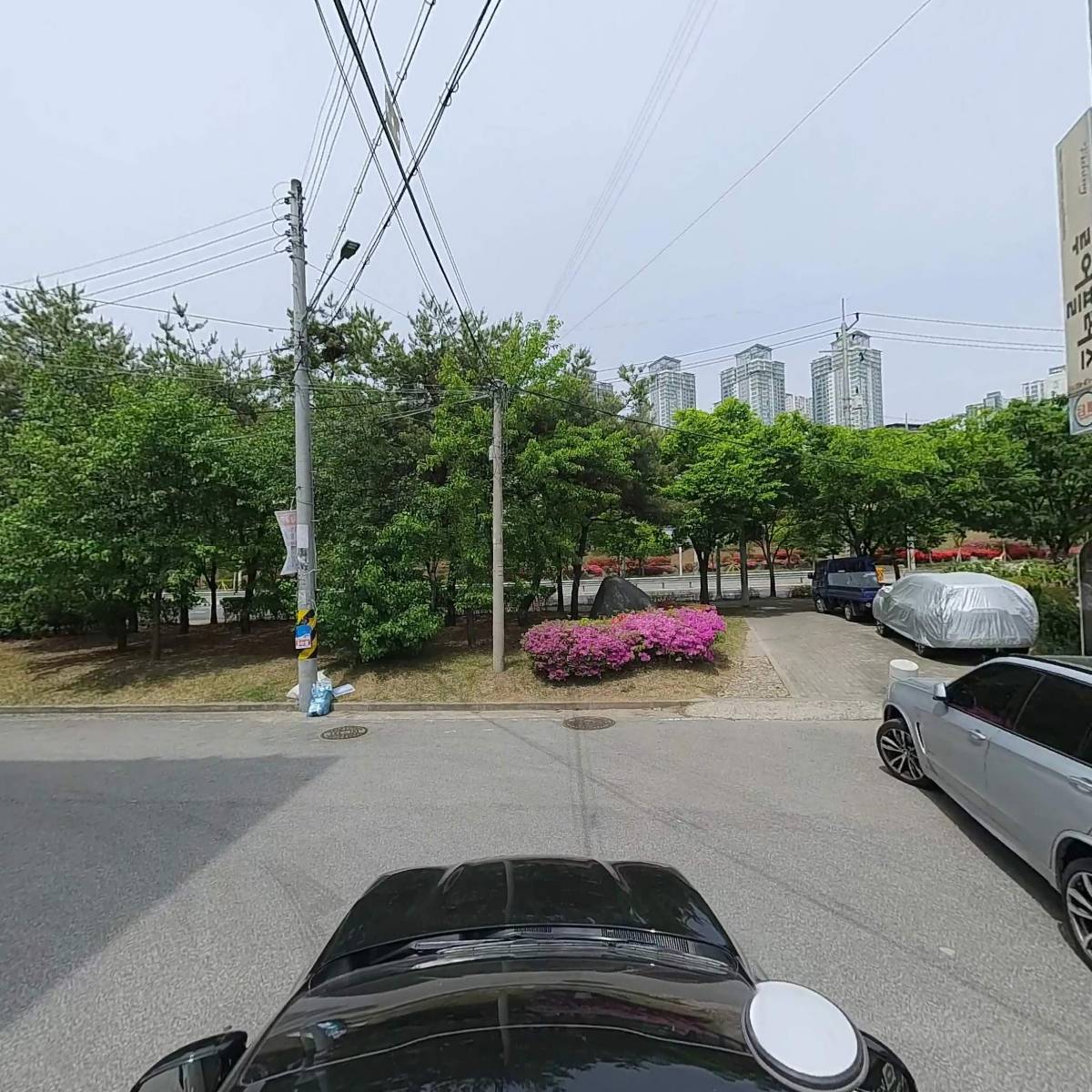 루어플러스_4