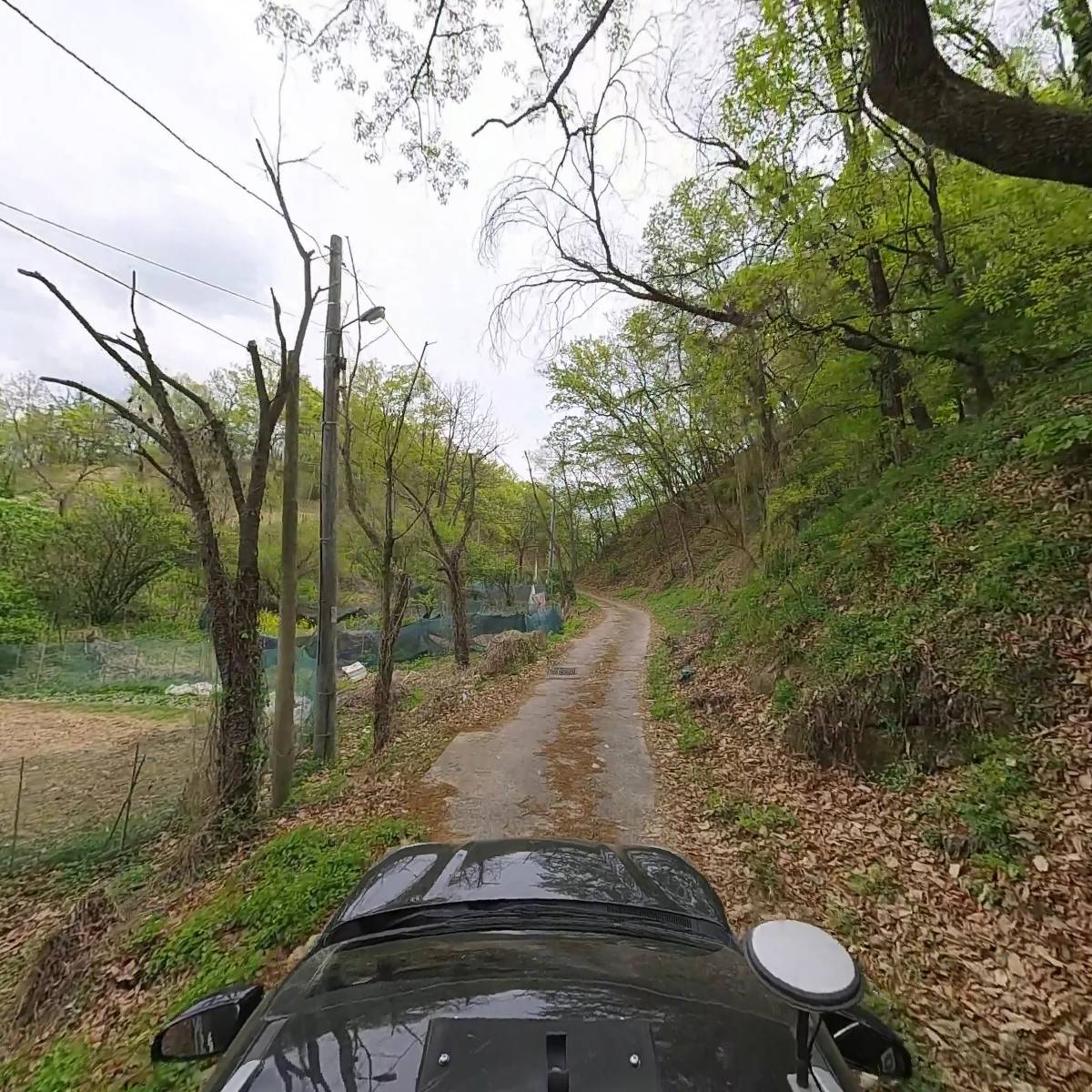 안동 벌목 산업_4