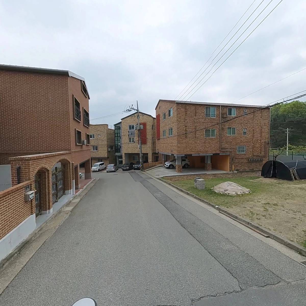 안동바드레사과_2