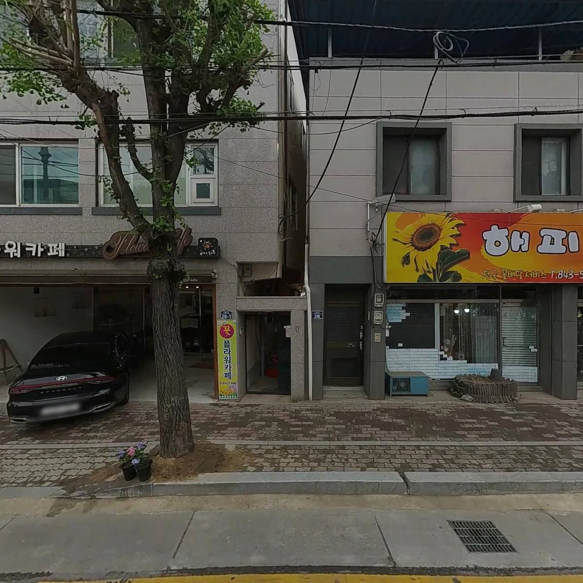 전통돌상화연
