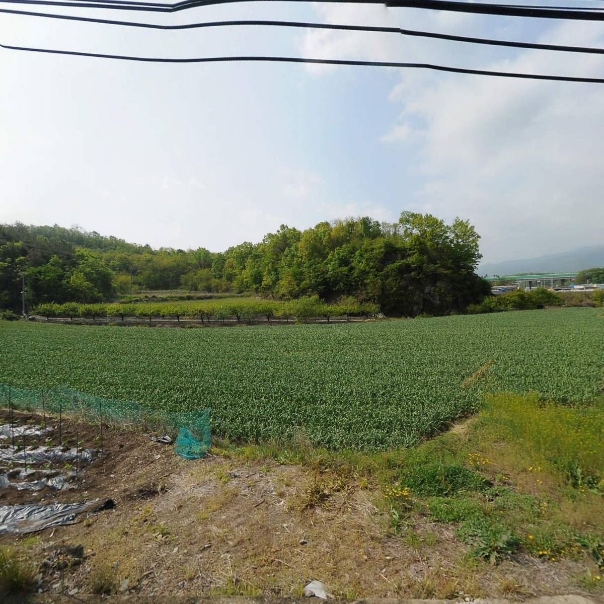 농업회사법인동명농산주식회사