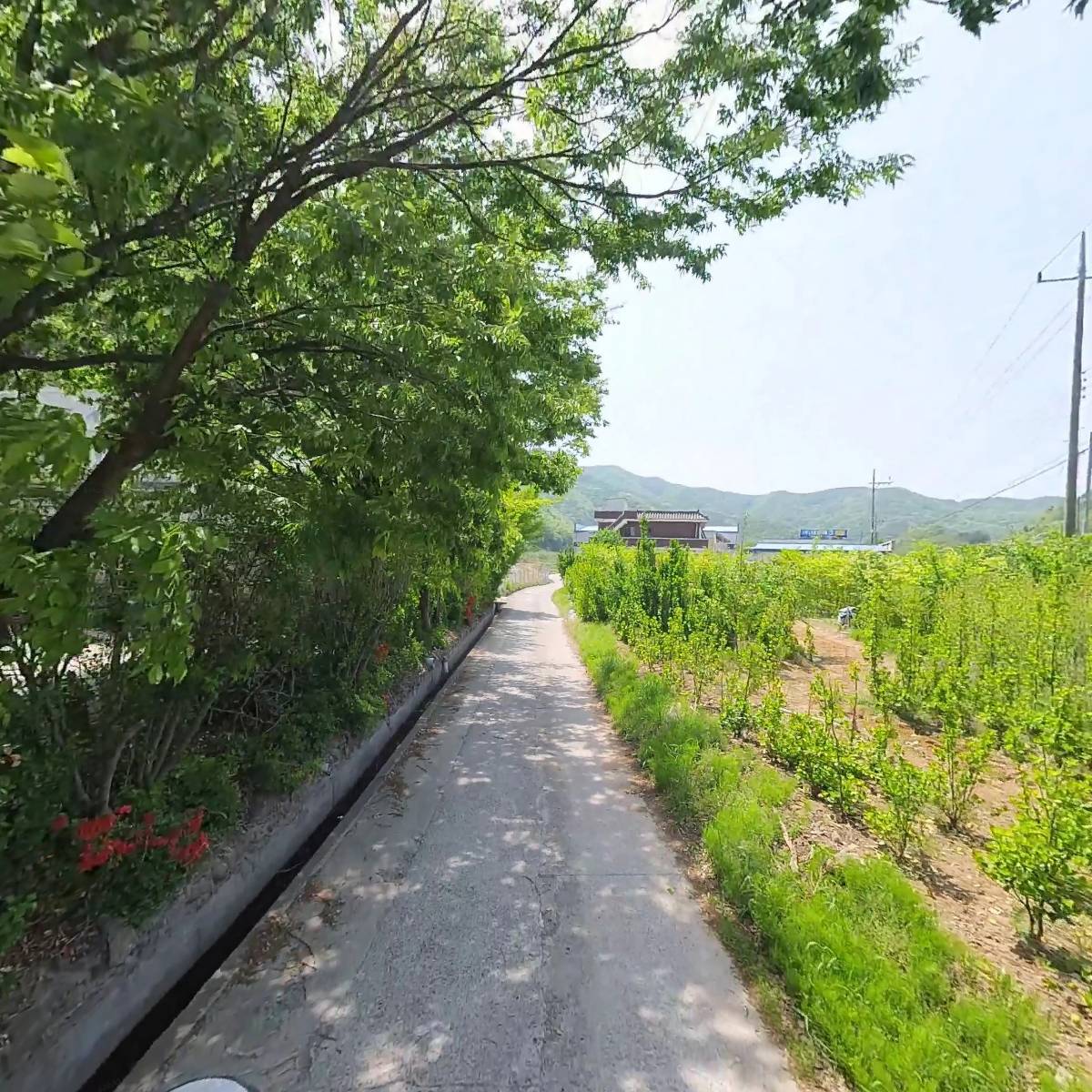 스모프치킨_2