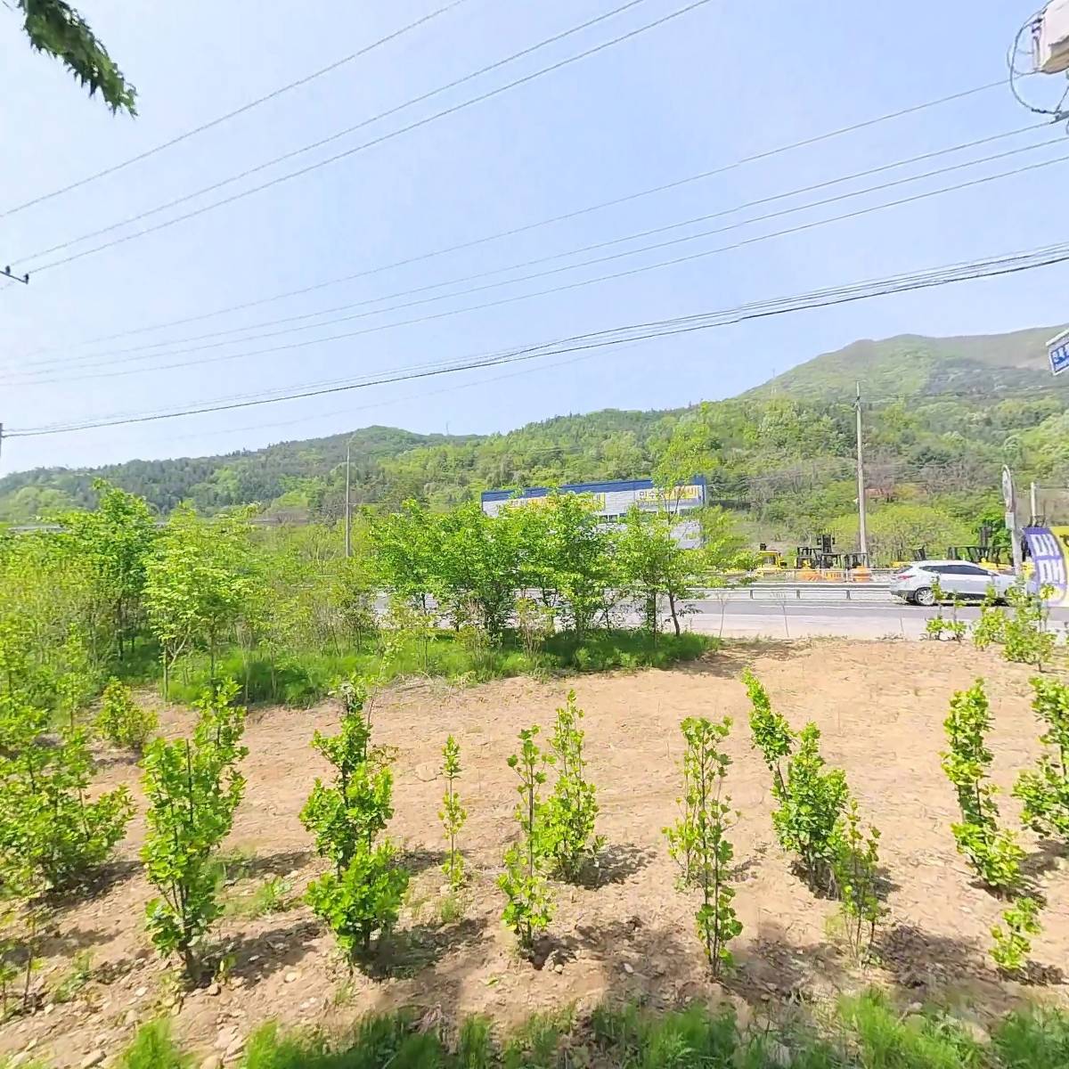 스모프치킨_3