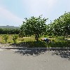 미당암소숯불_3
