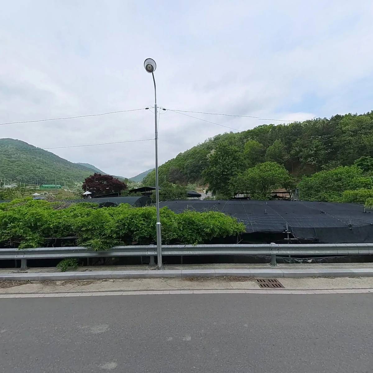 동명주말농장식당_3