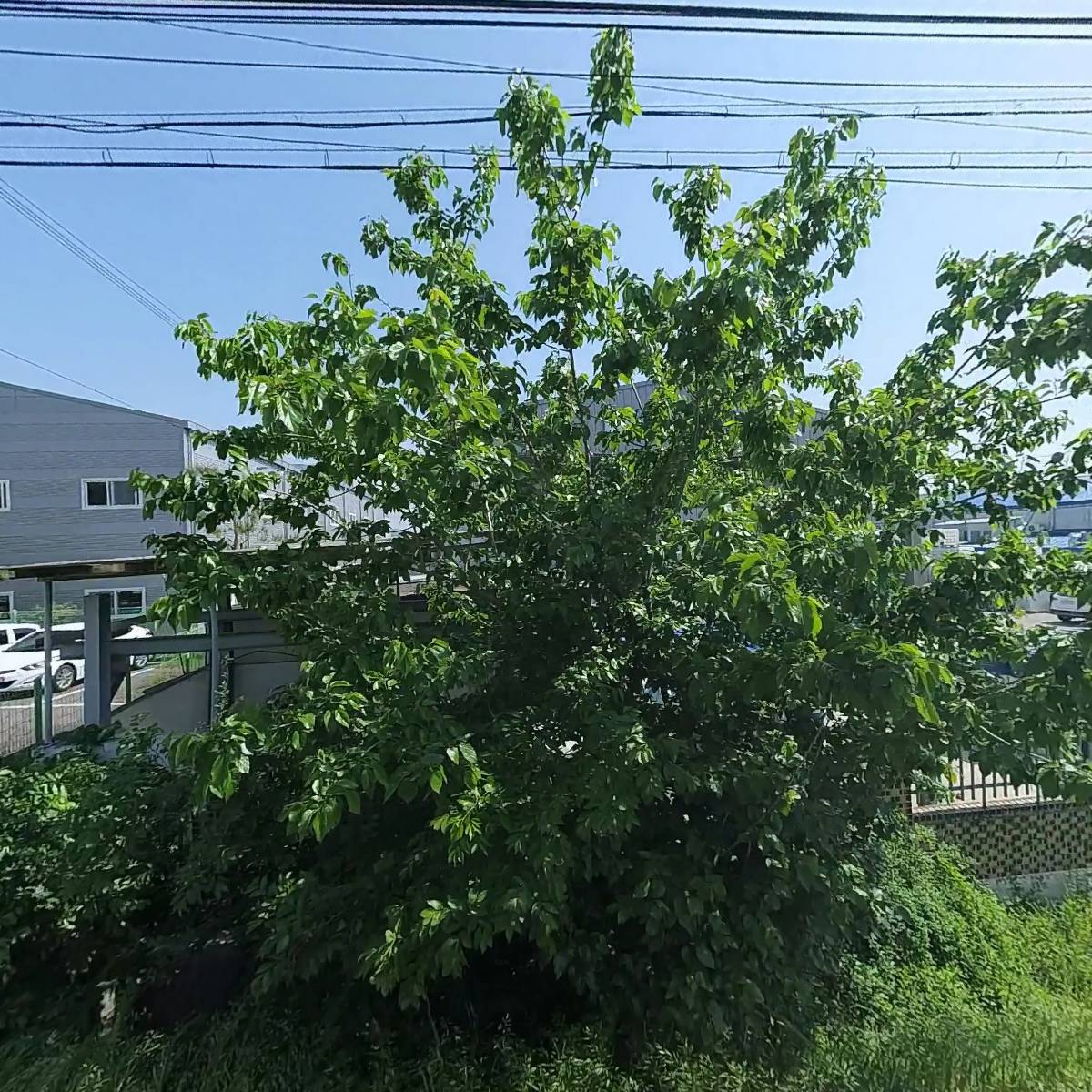 (주)대성디앤아이