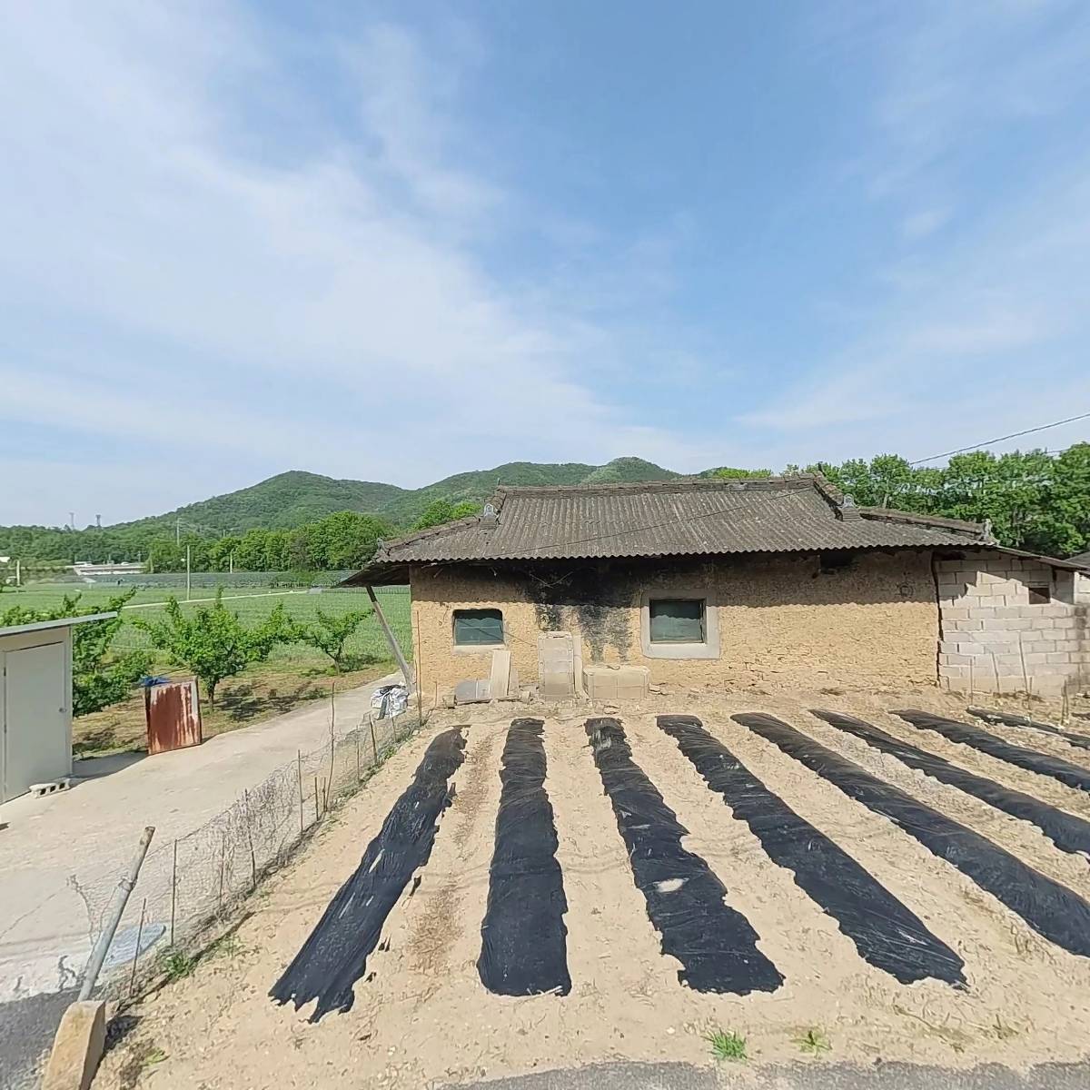 돌탑자두작목반
