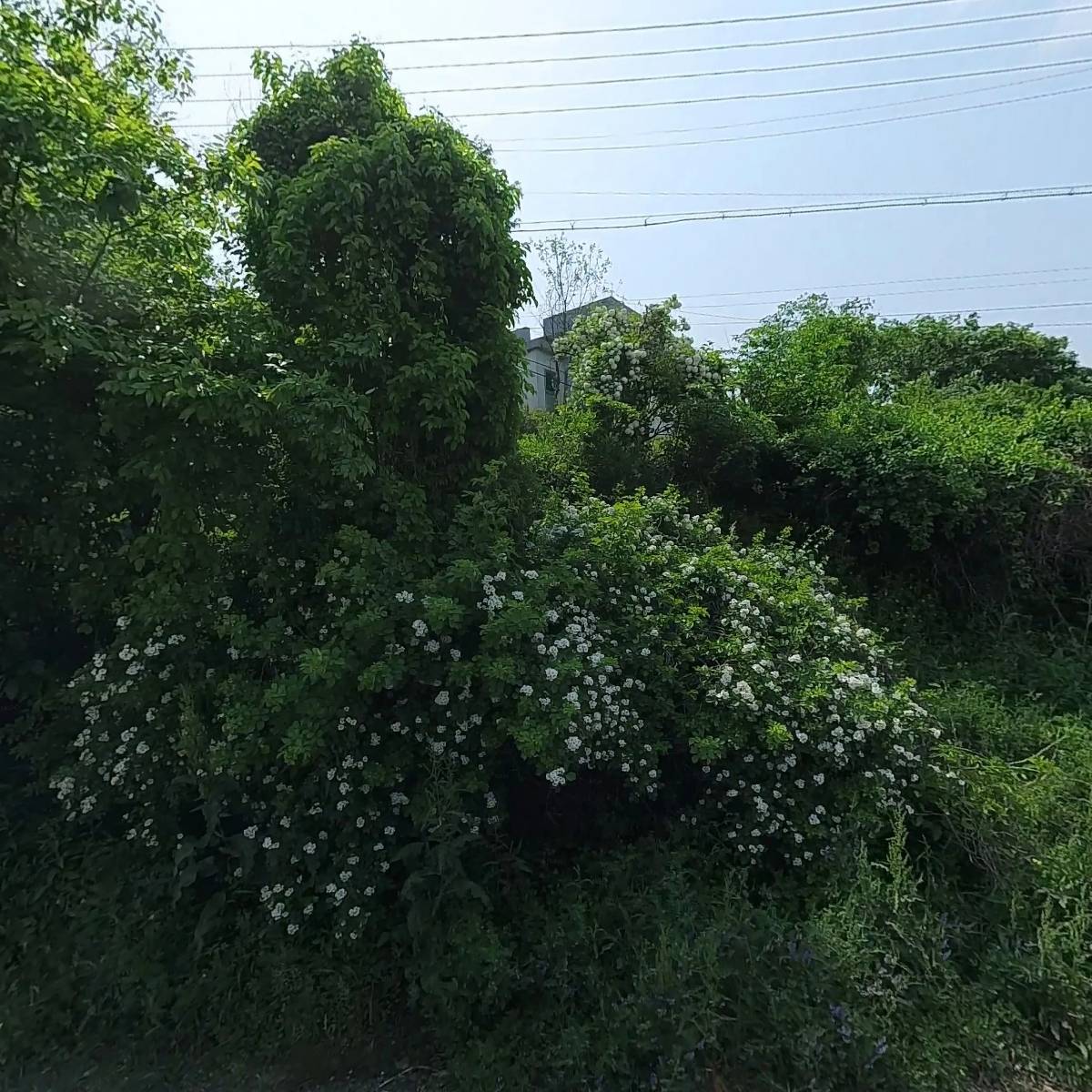 (주)울타리