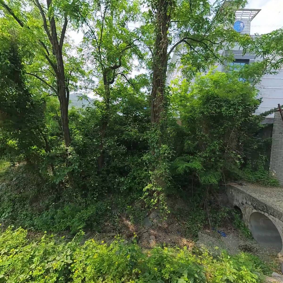 미안가구