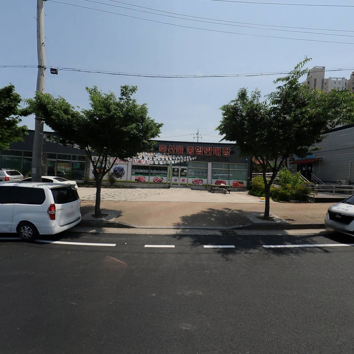 정금미트