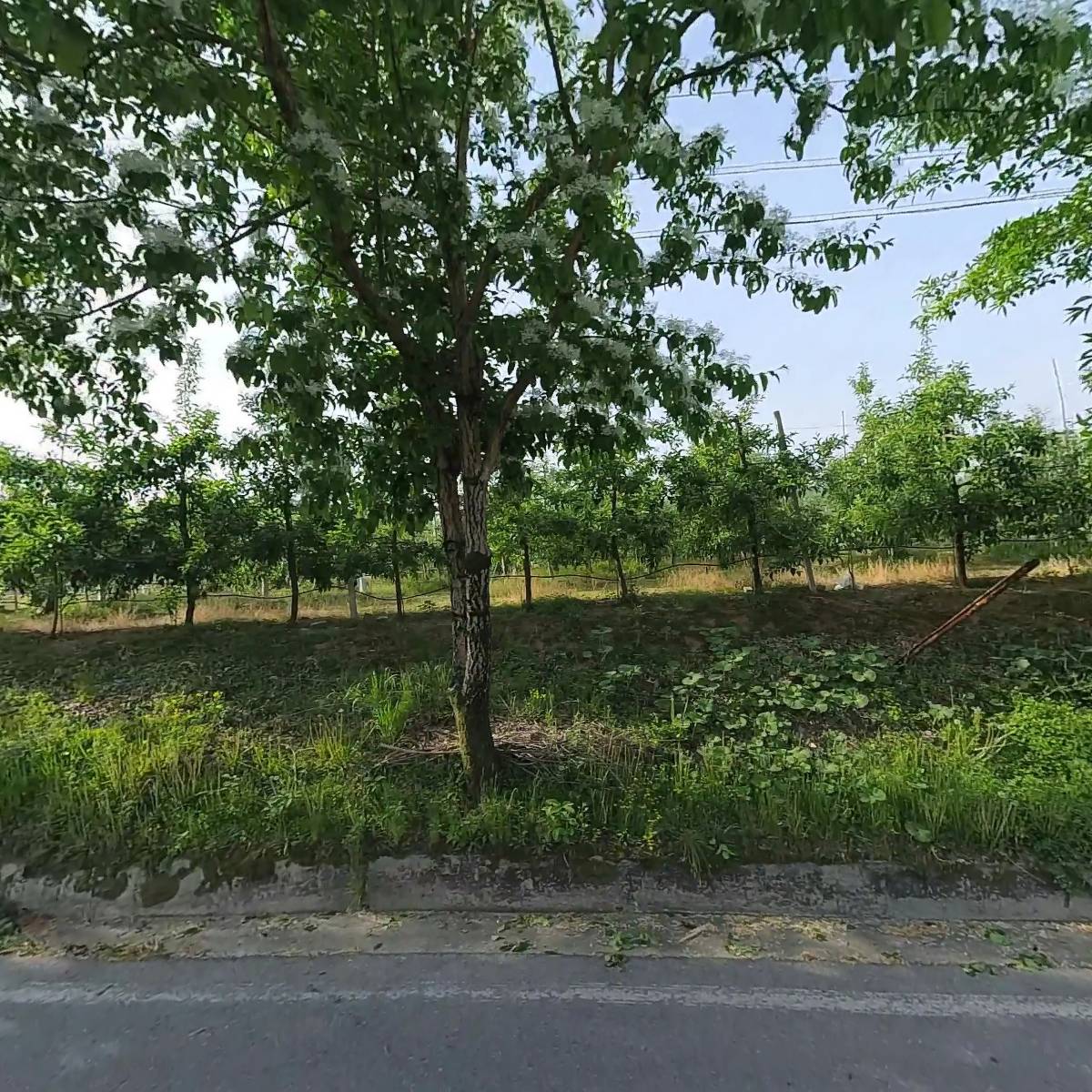 부석면소천1리경로당