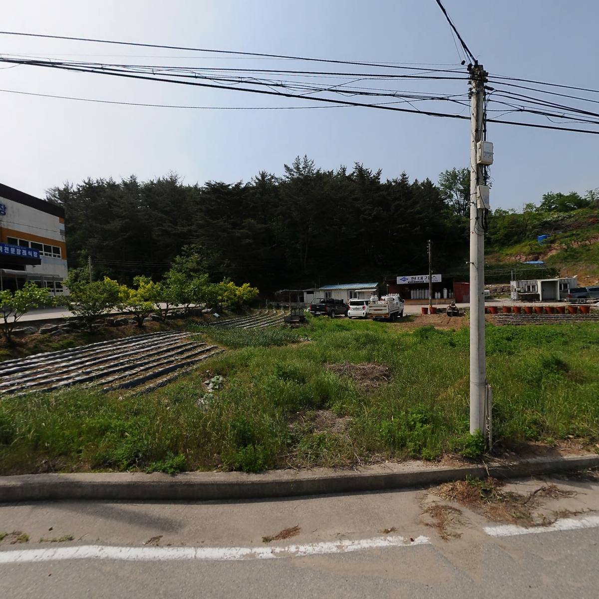 진영상사