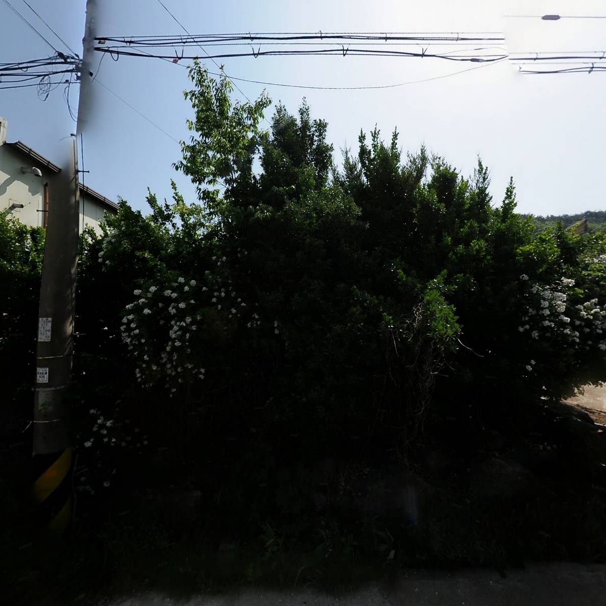 농업회사법인(주)해거름 영덕지점_3