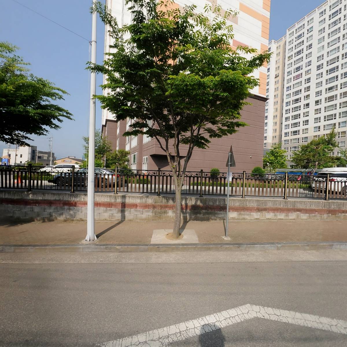 영농조합법인태양_3