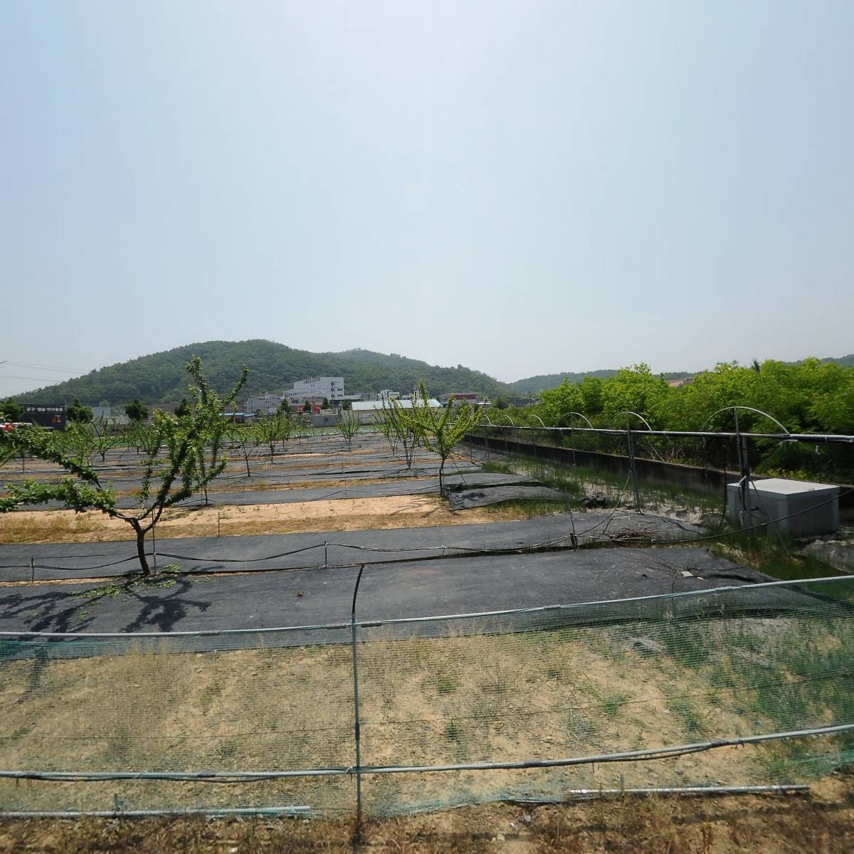 삼정철강