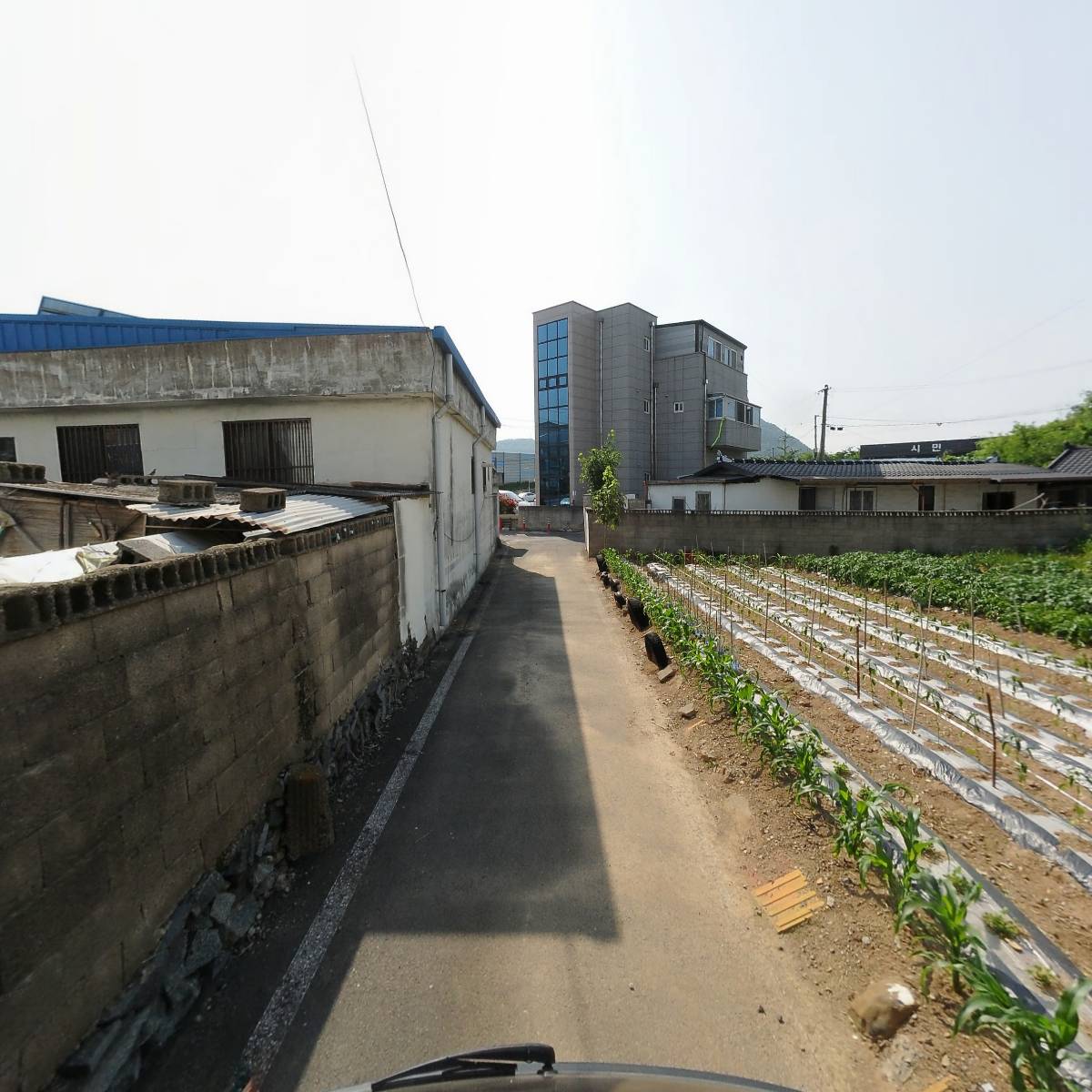 대운동물병원_2