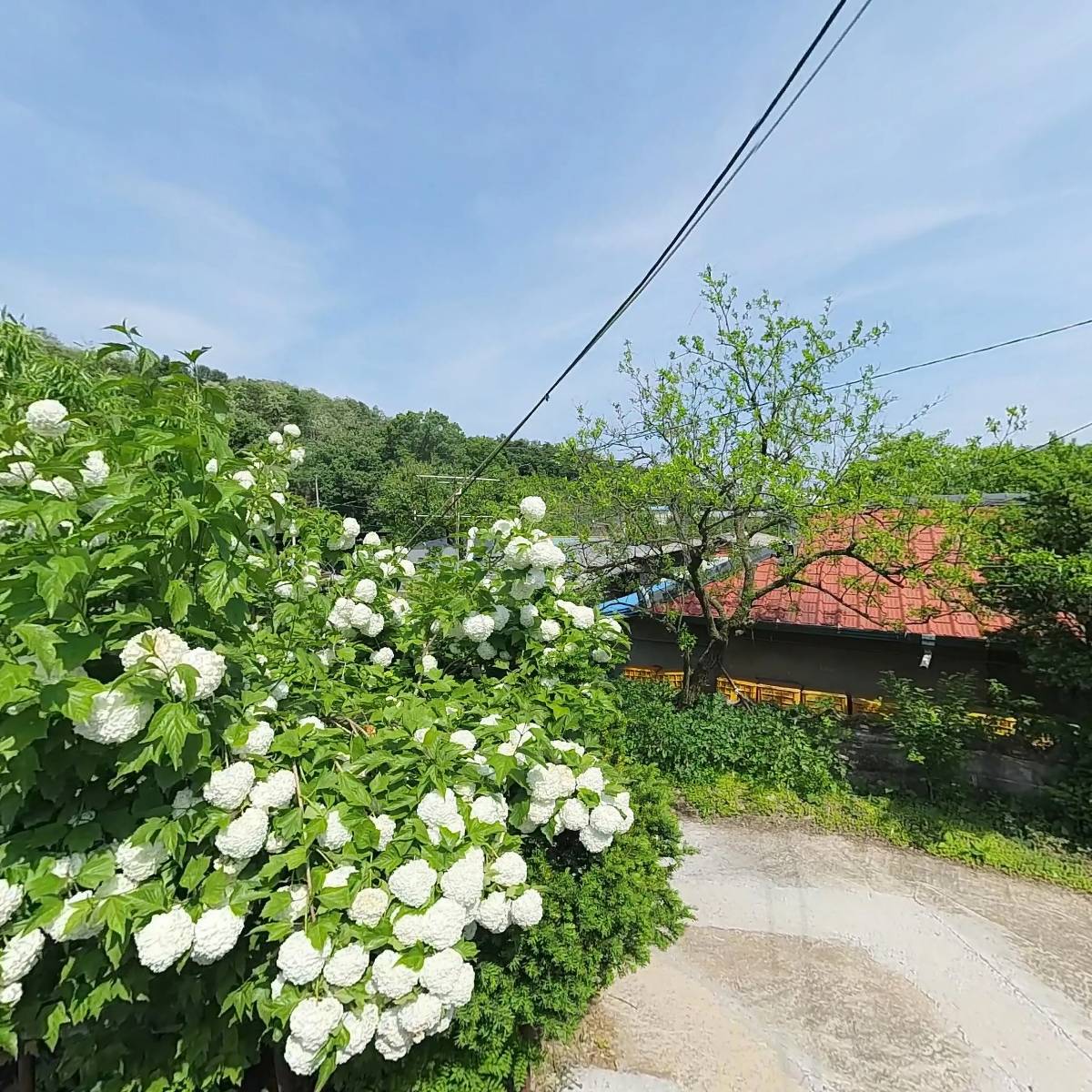 단산중학교총동창회