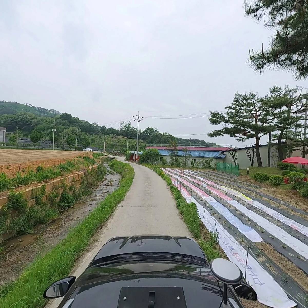 조은하루홍삼원_4
