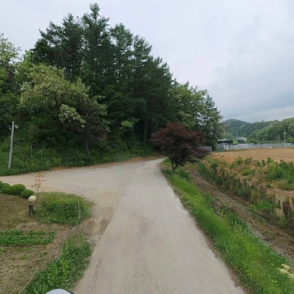 조은하루홍삼원_2