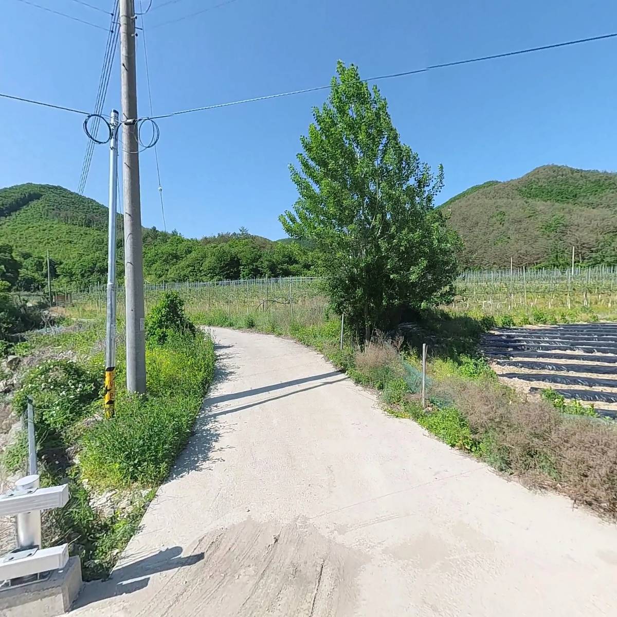 청송사과 조아농원