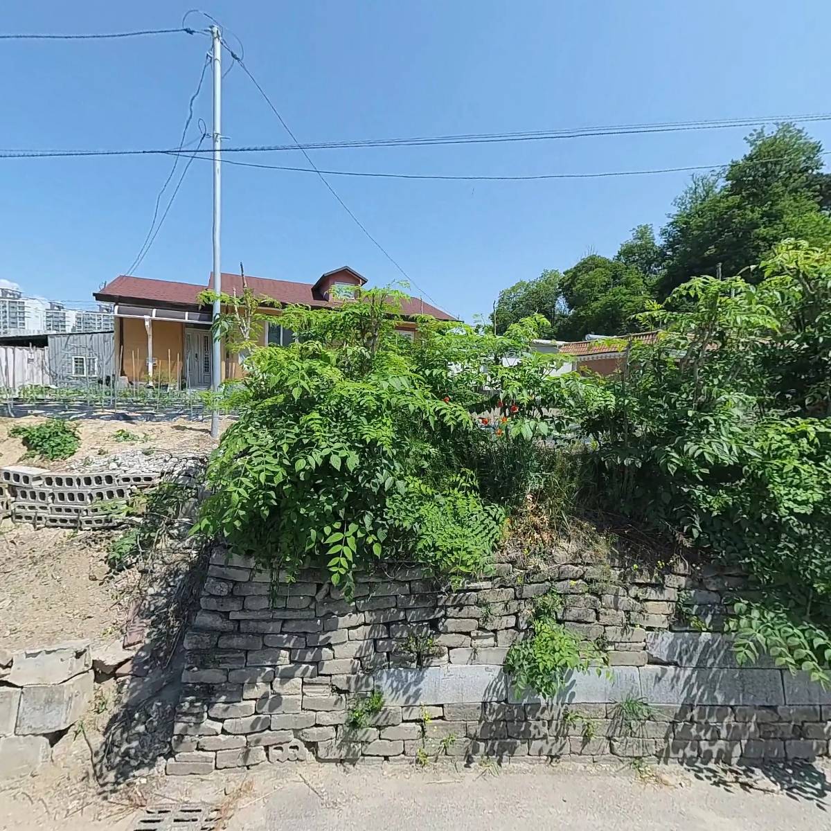 베스트 2000_3