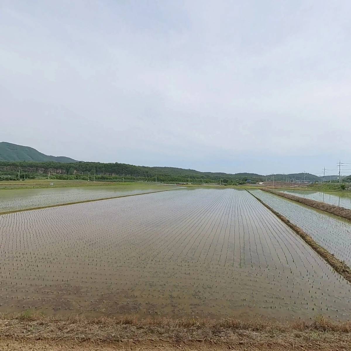 골든24시출장타이어.밧데리_3