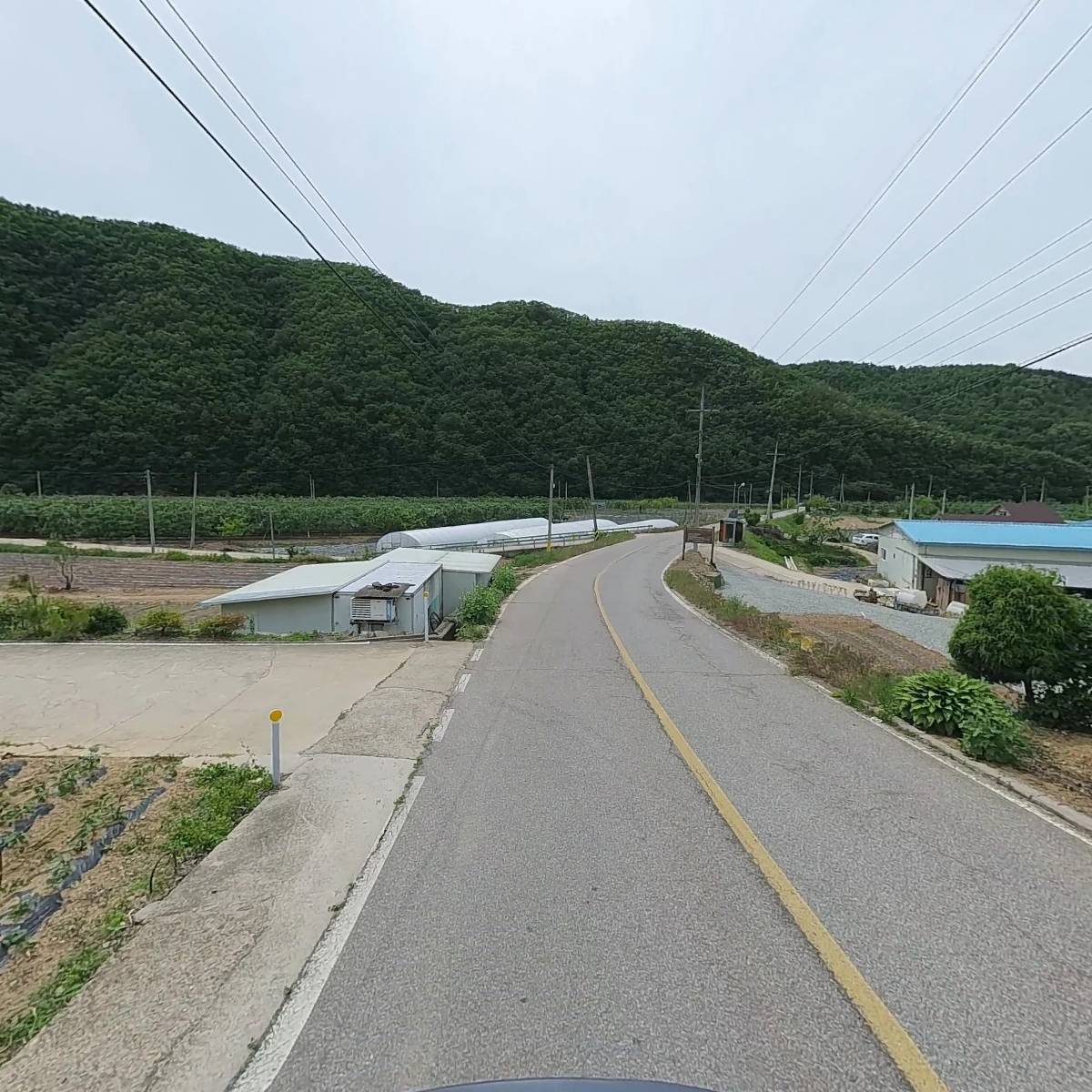 대원농원_2
