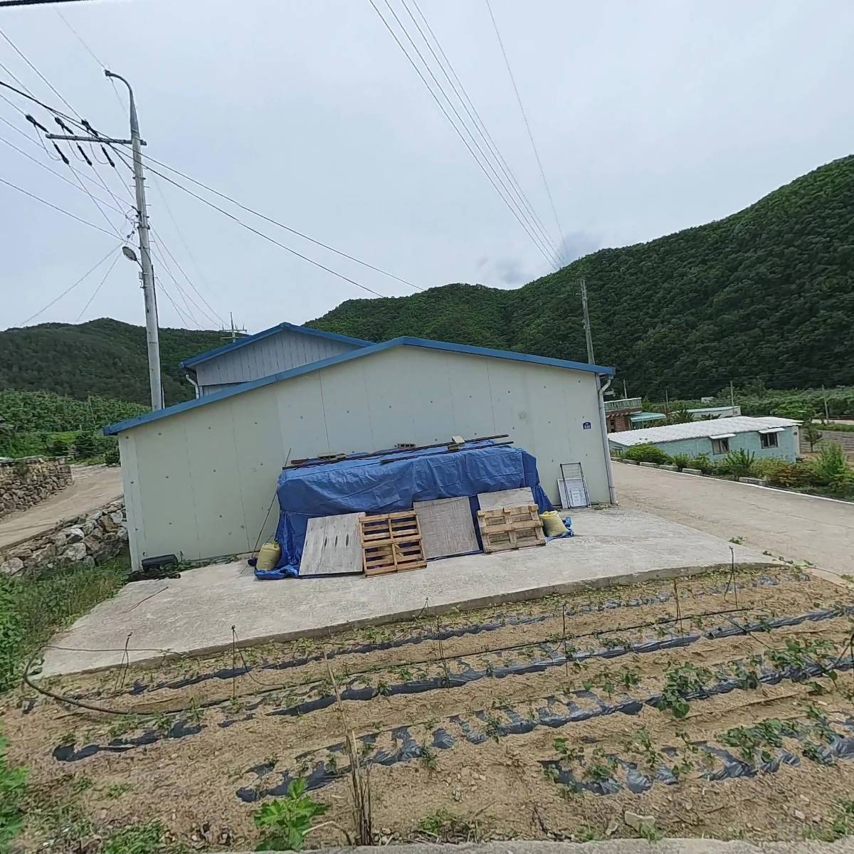 대원농원