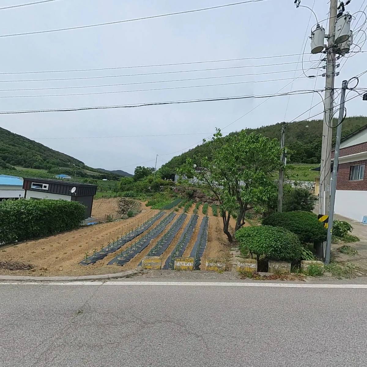 대원농원_3