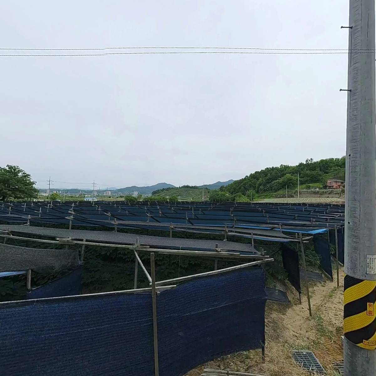 농업회사법인 (주)아삭뜰_3
