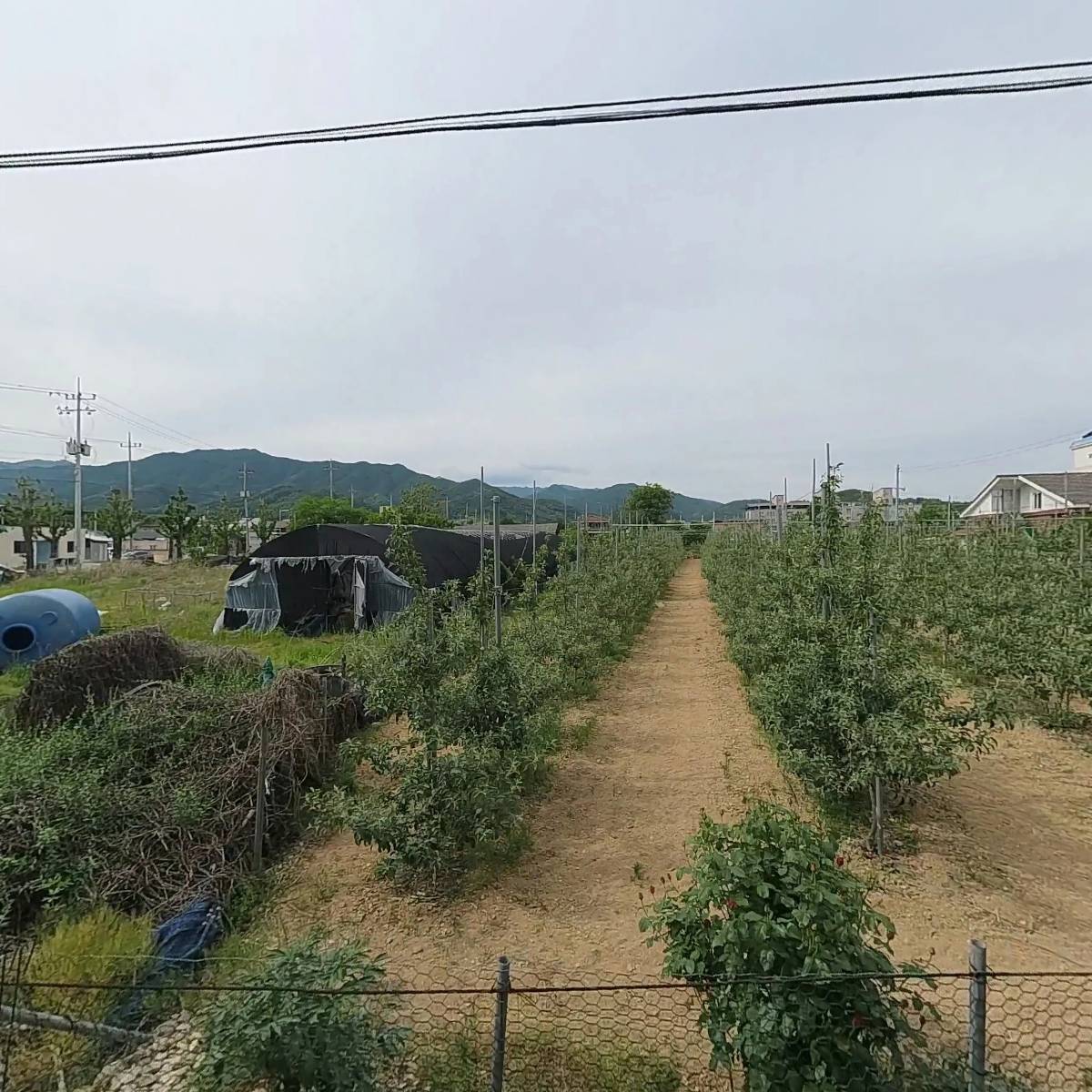 풍기인삼농협직원구내식당운영협의회_3