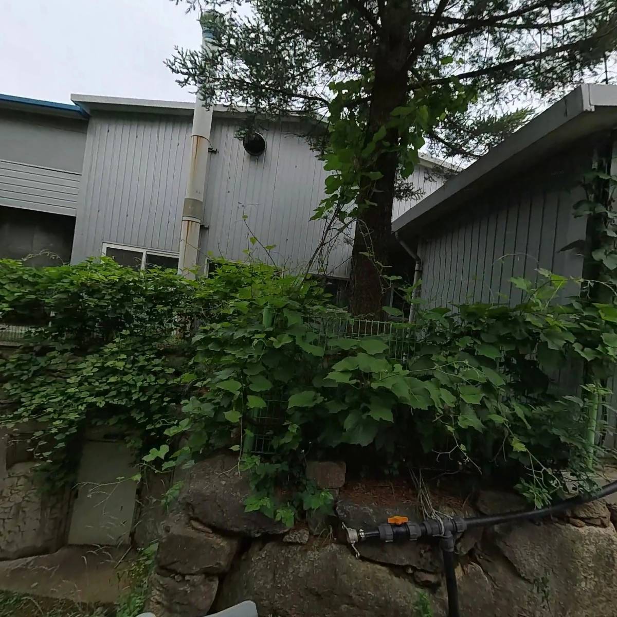 산머루농원영농조합법인