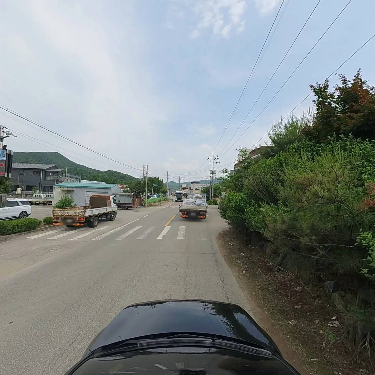 김희원동물병원_4